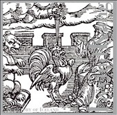 Eyvind Kang: The Story of Iceland