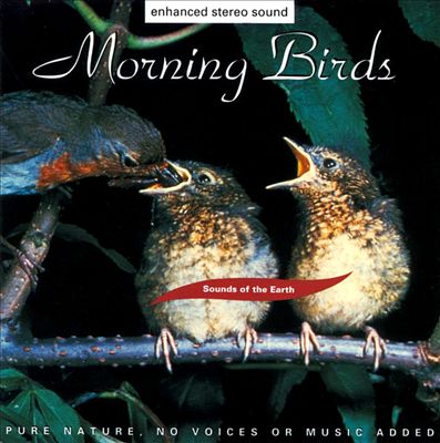 Sounds of the Earth: Morning Birds