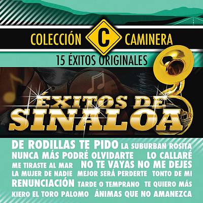 Exitos de Sinaloa: Serie Caminera