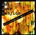 Dub Down Babylon