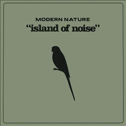 Island of Noise