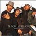 Black Stallion
