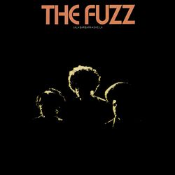 Album herunterladen The Fuzz - I Love You For All Seasons