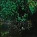 Breed in Me the Darkness: The Second Coming Mixes By Andrew Liles