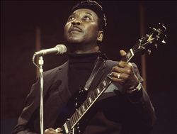 Muddy Waters