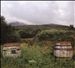 Jura