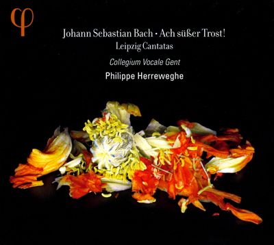 Cantata No. 46, "Schauet doch und sehet," BWV 46 (BC A117)