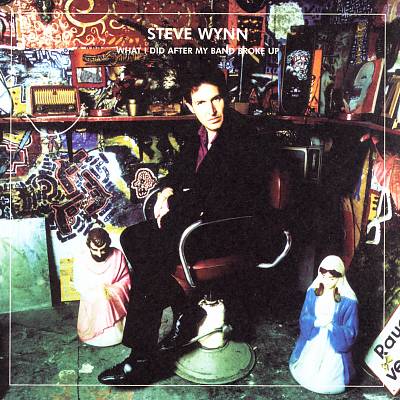 What I Did After My Band Broke Up: The Best of Steve Wynn/Visitation Rights