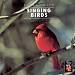 Singing Birds, Vol. 2