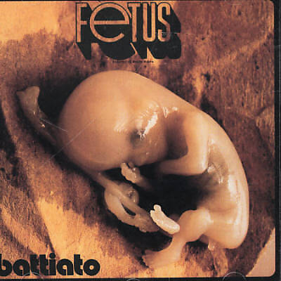 Fetus