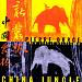 China Jungle