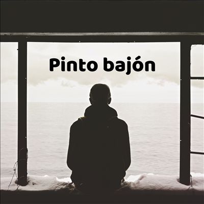Pinto Bajón
