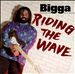 Riding the Wave