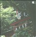13 Japanese Birds, Vol. 10: Niwatori