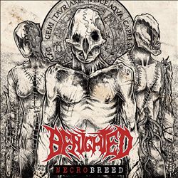 last ned album Benighted - Necrobreed