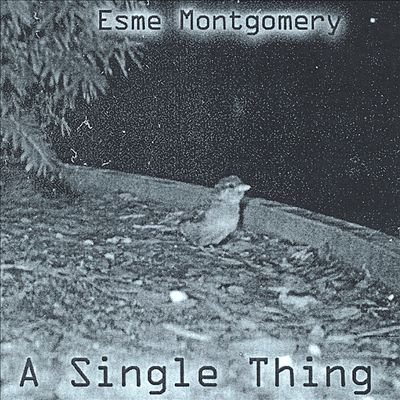 A Single Thing