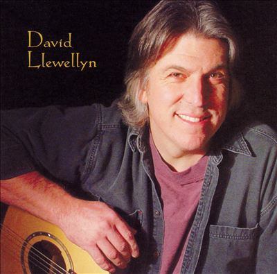 David Llewellyn