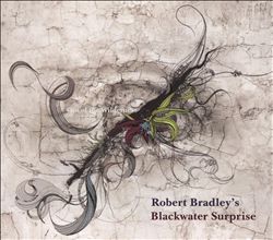 descargar álbum Robert Bradley's Blackwater Surprise - Out Of The Wilderness