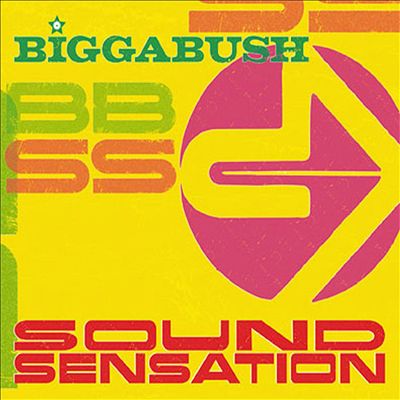 Bigga Bush Sound Sensation