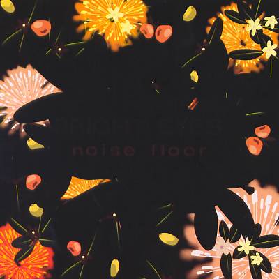 Noise Floor (Rarities 1998-2005)