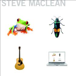 Album herunterladen Steve MacLean - Frog Bug Guitar Computer