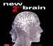 New 2 the Brain
