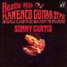 Beatle Hits Flamenco Style Guitar