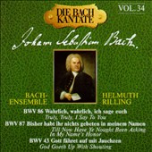 Die Bach Kantate, Vol. 34