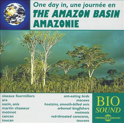The One Day In The Amazon Basin